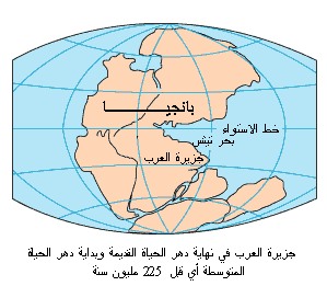     225  ɠPermian age 225 million ago